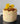 Flower Pot mini cakes