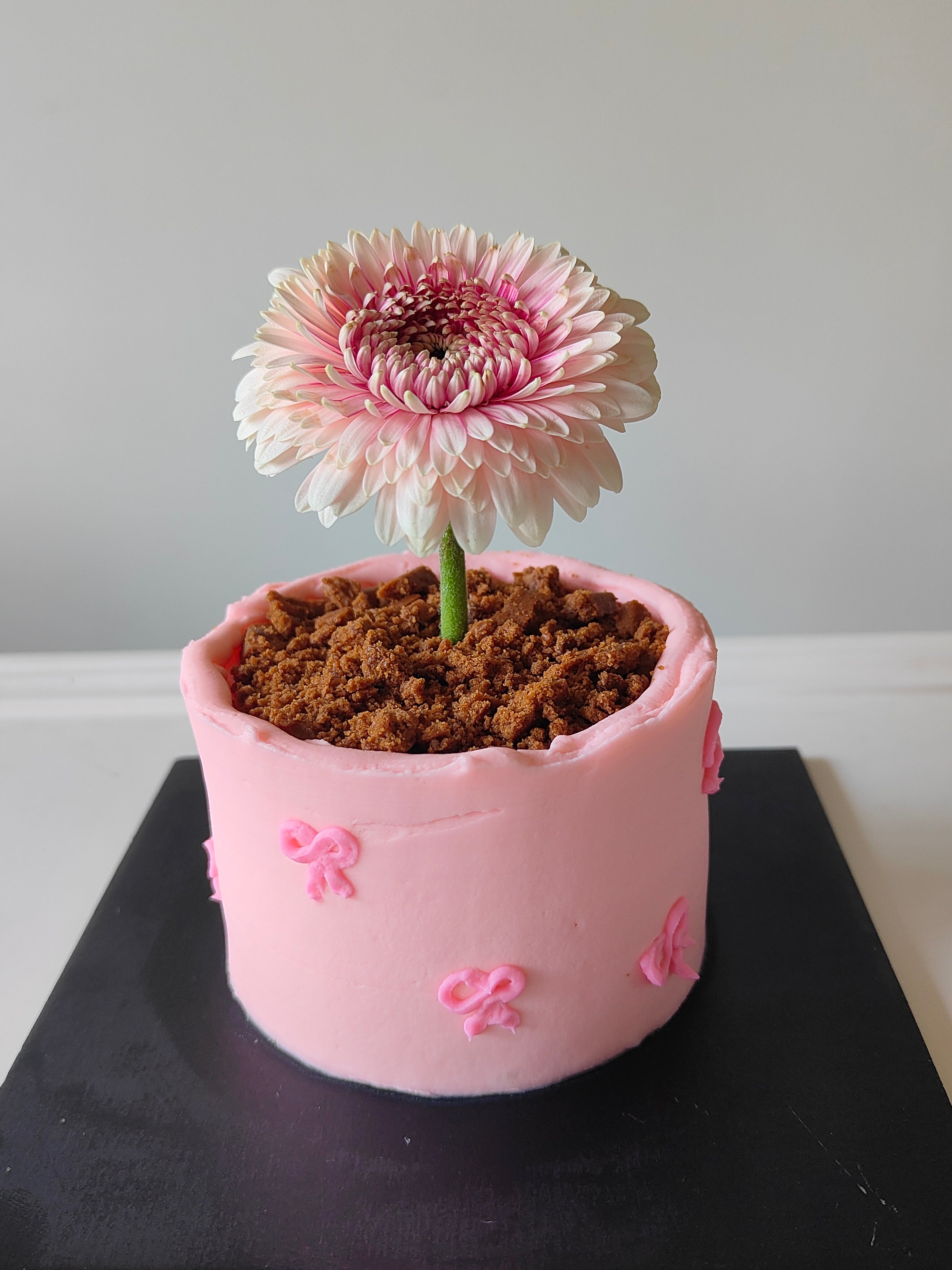 potted plant cake Flower Pot mini cakes